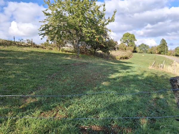 Maison de campagne au calme avec grand terrain 4