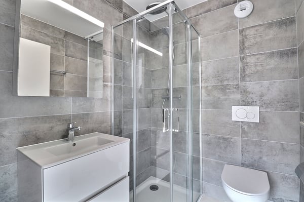 Appartement 3.5 pièces avec disponible dans les combles 5
