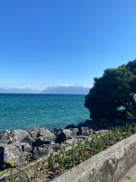 Villa neuve exceptionnelle à deux pas du Lac 11