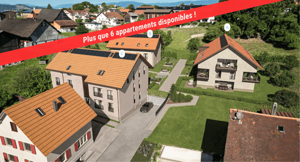 Duplex de 3.5 pièces avec combles (B.3) 1
