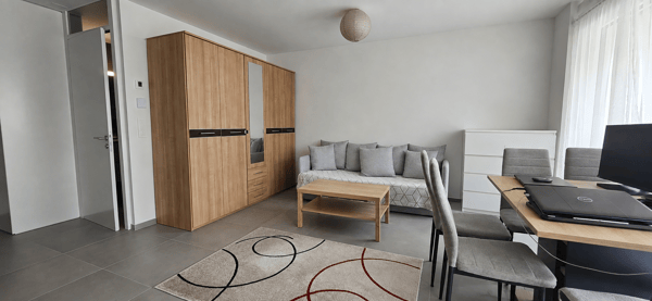 Studio de 37m² avec balcon à Conthey 4