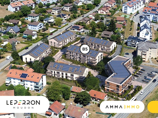 Appartement 4.5 pièces en rez-jardin à Moudon 13