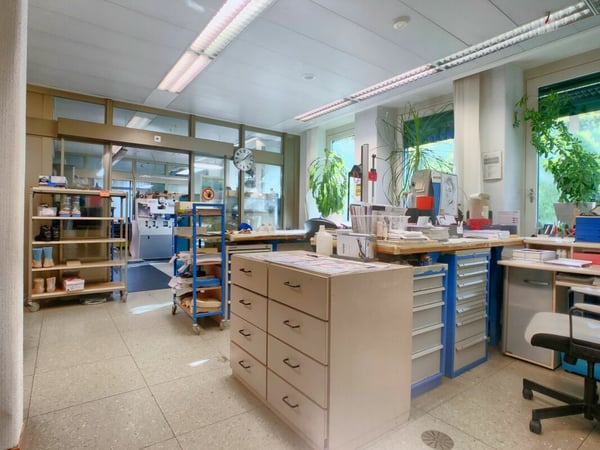 Vielfältige nutzbare Gewerbeliegenschaft in der Altstadt von Burgdorf 5