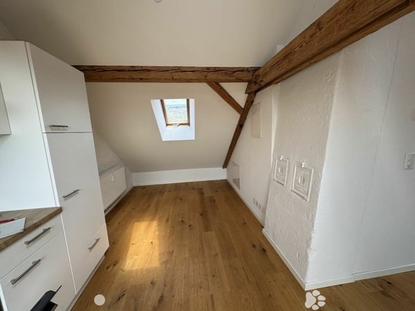 Sonnige Dachwohnung mit Sichtbalken und besonderem Charme 2