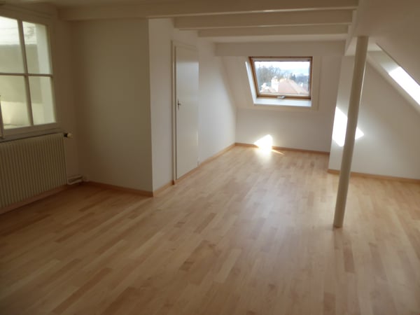 Bern Brunnadern - Dachwohnung 8