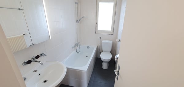 Charmante 1.5-Zimmer-Attikawohnung mit Balkon und Aussicht in Olten 2