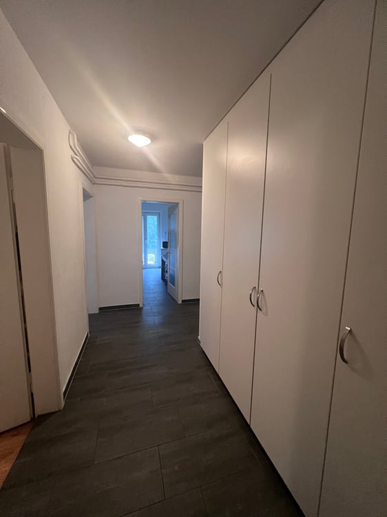 Helle 4-Zimmer-Wohnung an der Baslerstrasse in Olten 2