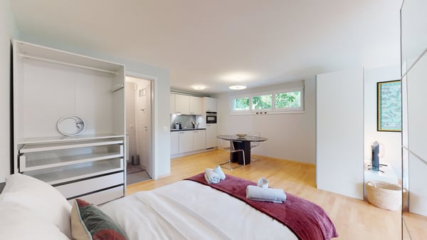 Geräumiges Studio in einer ruhigen Nachbarschaft in Sierre - Verfügbar zwischen 3 und 6 Monaten 5