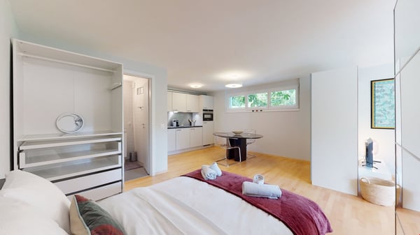 Geräumiges Studio in einer ruhigen Nachbarschaft in Sierre - Verfügbar zwischen 3 und 6 Monaten 12