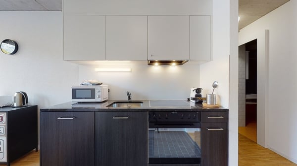 Bel appartement 1.5 pièces lumineux à la Matze, centre ville Sion 4