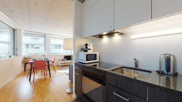 Appartement 1.5 pièces clair et lumineux à la Matze, centre ville Sion 9