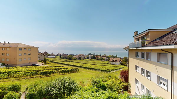 Aperçu de l'image de l'immobilier