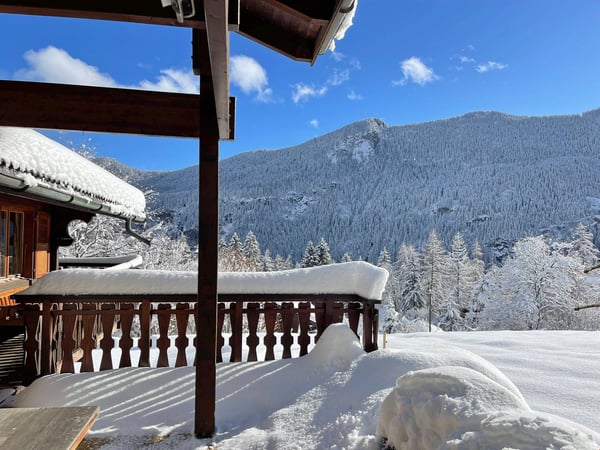 À la saison - Splendide chalet, entouré de verdure, aux Marécottes 3