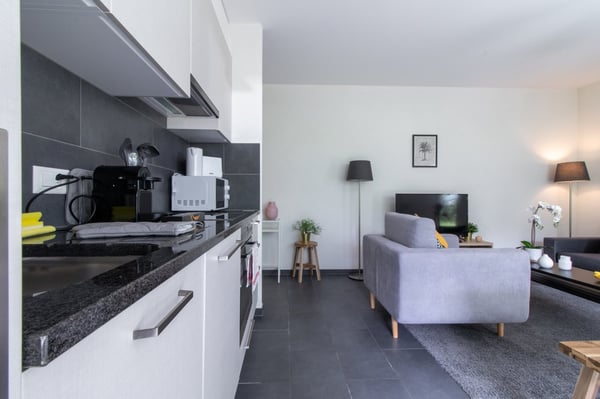 Appartement moderne, 1 chambre à coucher au Bouveret 3