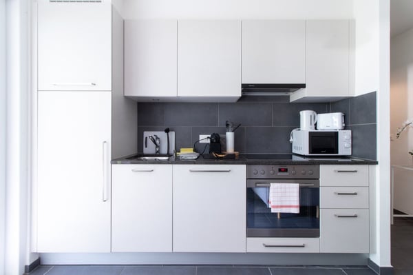 Appartement moderne, 1 chambre à coucher au Bouveret 4