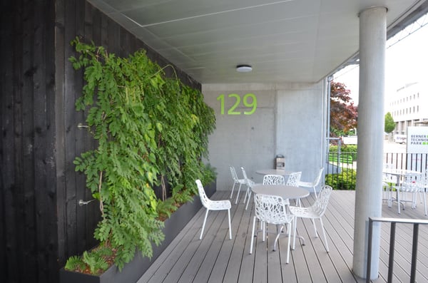 700m2 mit gut unterteilten Räume für sich alleine?! Bei uns werden Sie fündig. 13