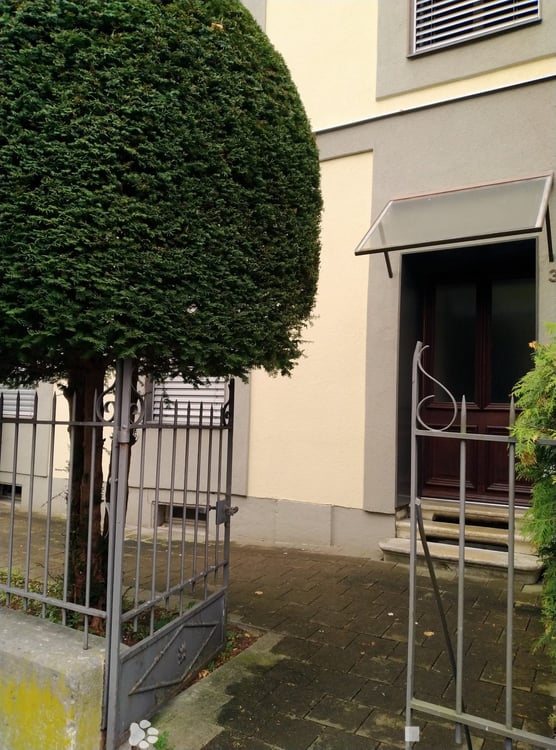 Charmante 4-Zimmer-Wohnung in ruhiger Lage von Biel 1