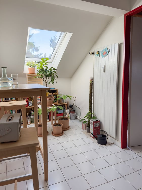 Charmante 1.5-Zimmer-Dachwohnung mit Charakter in Basel 2