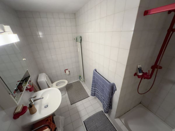 Charmante 1.5-Zimmer-Dachwohnung mit Charakter in Basel 8