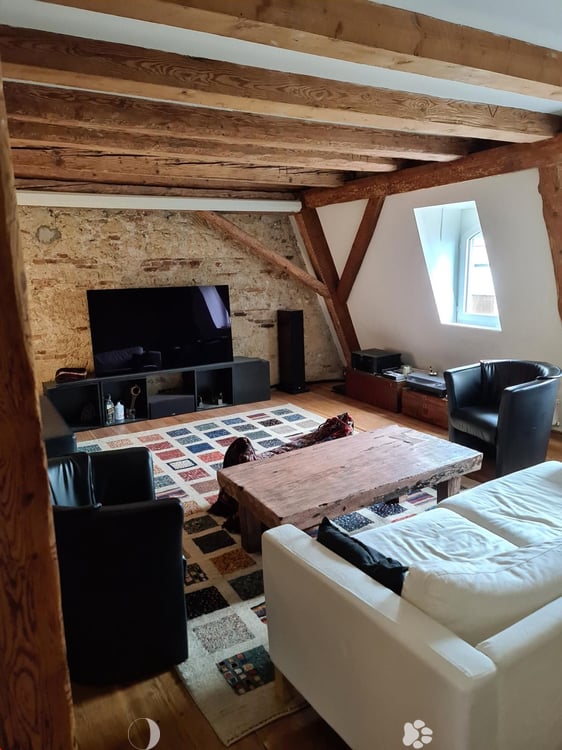 Grosse 4.5 Zimmer Wohnung mit Terrasse auf 2 Etagen 1