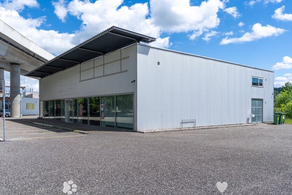 720 m² Verkaufs-, Showroom- & Gewerbefläche an Toplage in Biel 1