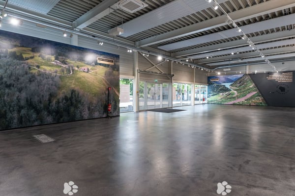 720 m² Verkaufs-, Showroom- & Gewerbefläche an Toplage in Biel 4