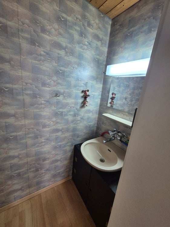 Grosszügige Gewerbefläche mit Charme in Schönenwerd 3