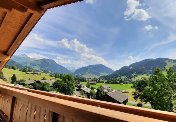 Hochwertige Dachwohnung mit bester Aussicht 1