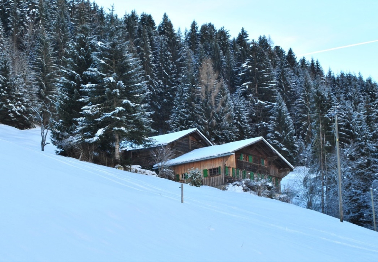 small wooden cottage in the middle of a snowy mountain with pine trees around it