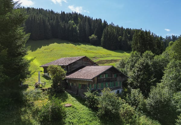 Alleinstehendes historisches Bauernhaus mit Vorprojekt 1