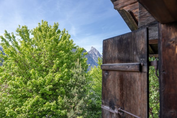 Traditionelles Bauernhaus mit Scheune und Umschwung 2