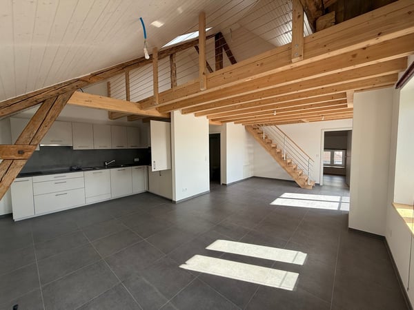 Appartement duplex 3 pièces 1