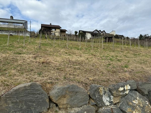 Vorschaubild der Immobilie