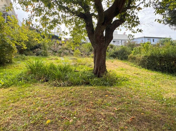 Mehrfamilienhaus mit 3 Wohnung, Seesicht 10