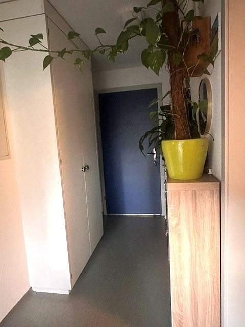 Gemütliche 2-Zimmer-Wohnung mit Balkon in Buchs AG 4