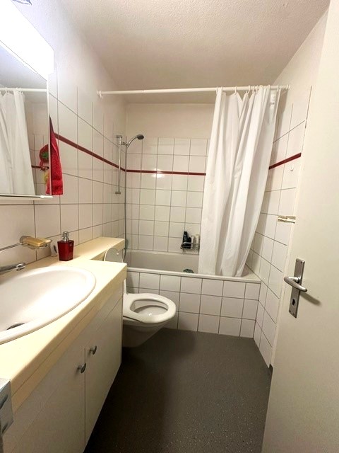Gemütliche 2-Zimmer-Wohnung mit Balkon in Buchs AG 8