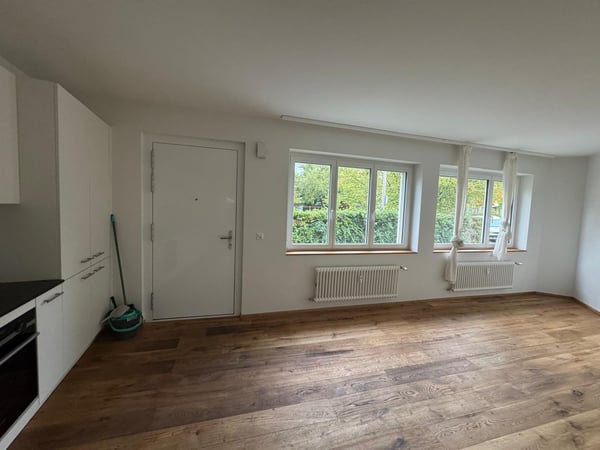 1-Zimmer-Einfamilienhaus 3