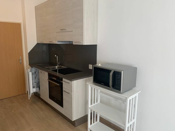 Luminoso monolocale arredato vicino EOC 4