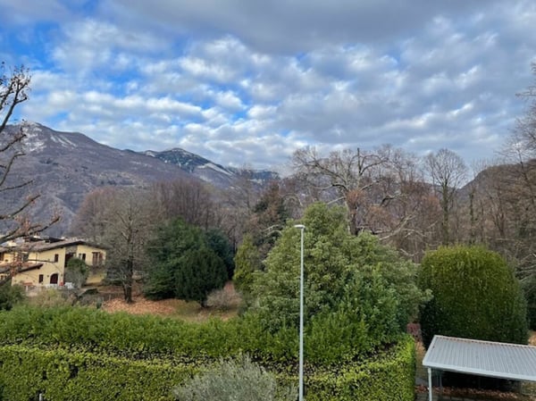 Affittiamo splendido 1.5 locali con giardino 10