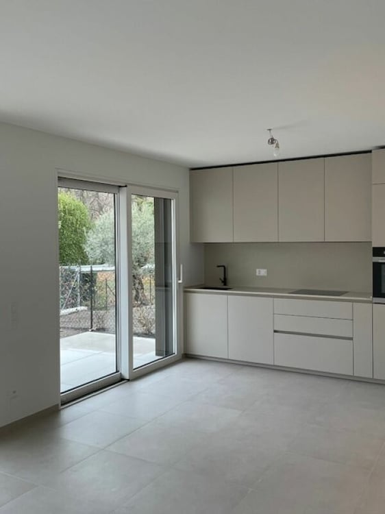 Affittiamo splendido 1.5 locali con giardino 18