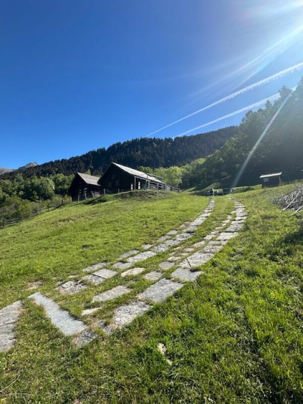 Vendiamo in luogo idilliaco bel rustico in legno e pietra