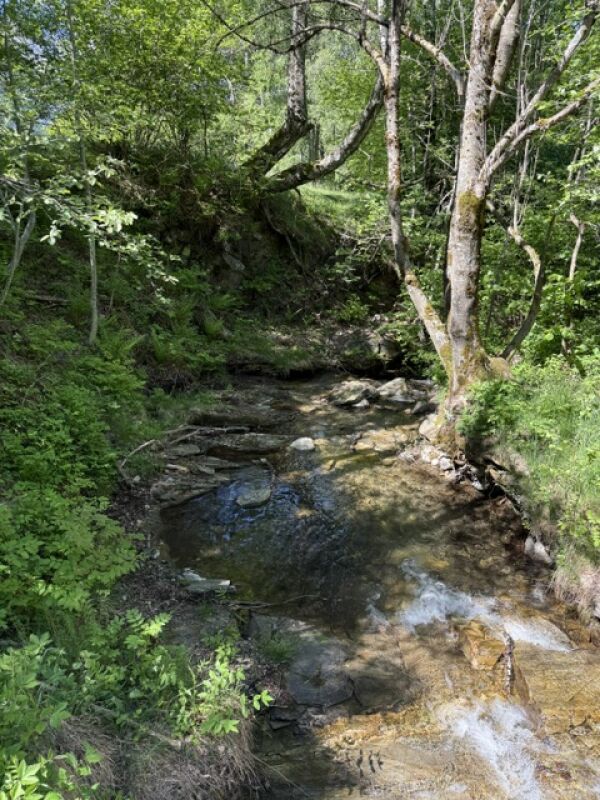 Vendiamo in luogo idilliaco bel rustico in legno e pietra