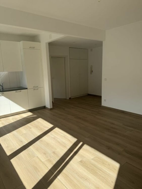 Affittiamo a Bellinzona un luminoso e rinnovato 2.5 4