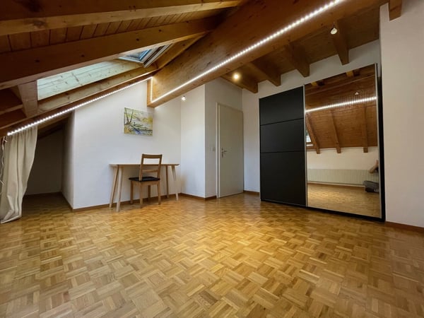 Grand appartement de 1 pièces aux combles 5