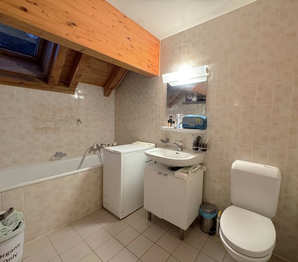 Grand appartement de 1 pièces aux combles 6