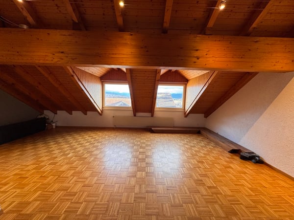 Grand appartement de 1 pièces aux combles 1