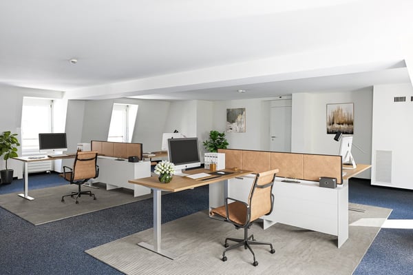Immeuble de prestige à louer au coeur de Nyon 4