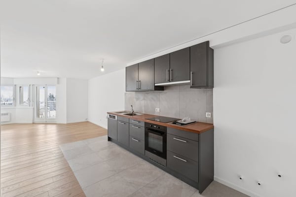 Charmant 2 pièces rénové avec jardin et vue sur le lac 2