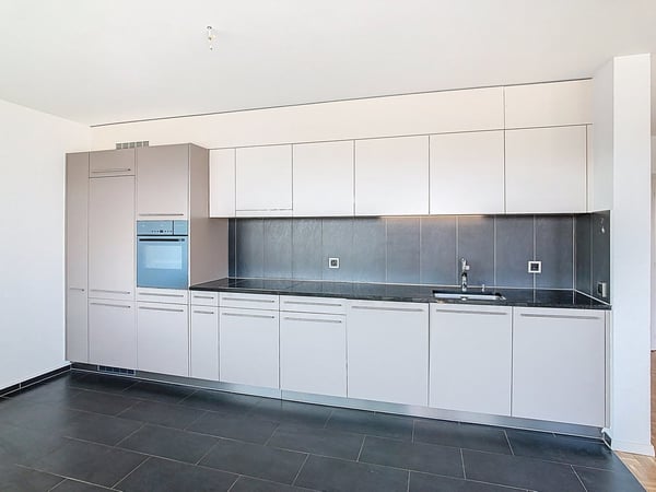 Superbe logement lumineux avec loggia et panorama exceptionnel 1