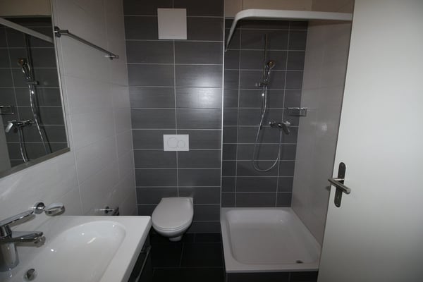 Logement de 4.5 pièces 5